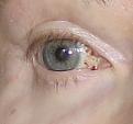 IMG_6111.jpeg
